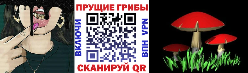 Купить где  Урень  Галлюциногенные грибы прущие грибы 